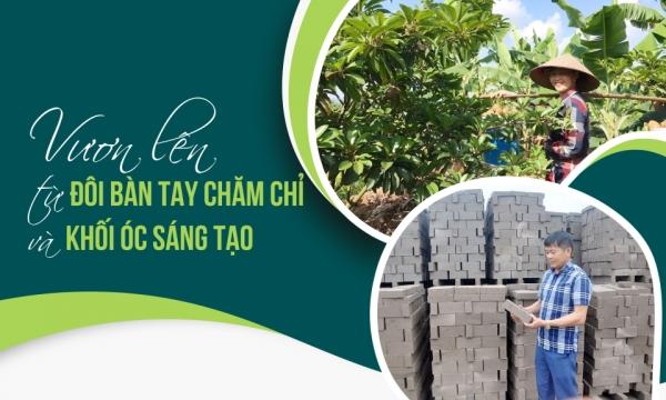 Tầm quan trọng của việc cải tạo đất trồng cho khu vườn xanh tươi quanh năm